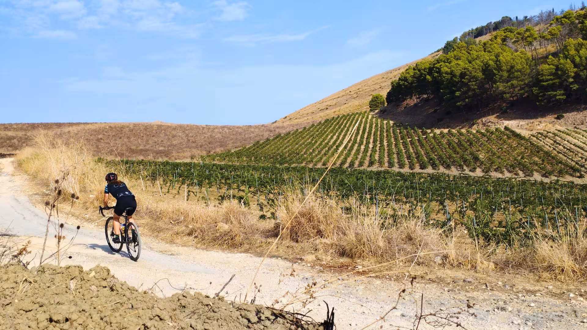 Cyclist exploring picturesque vineyard trails on an e-bike tour from Castellammare del Golfo to Segesta temple.