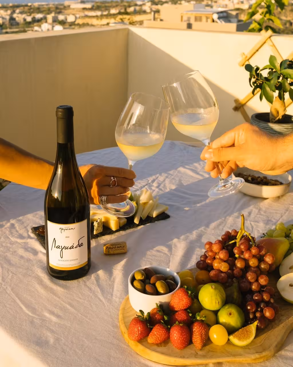 Sunset rooftop wine tasting with local cheese and fruit platter, perfect stop on an eco bike winery tour