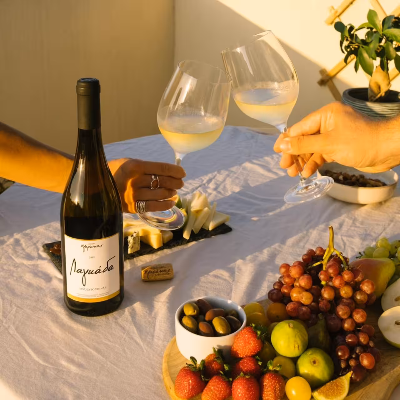 Guests clink white wine with cheese and fruit picnic, part of an eco bike wine tour tasting experience