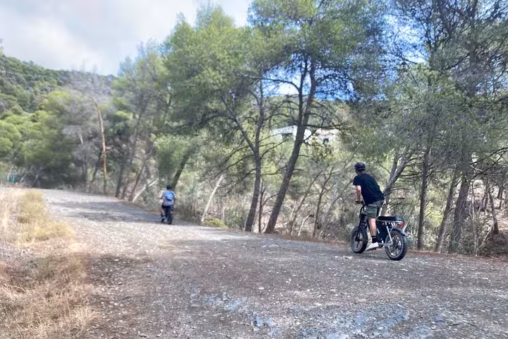 E-fat bike riders on a forest trail in Málaga hills, exploring at their own pace with a 10-hour rental