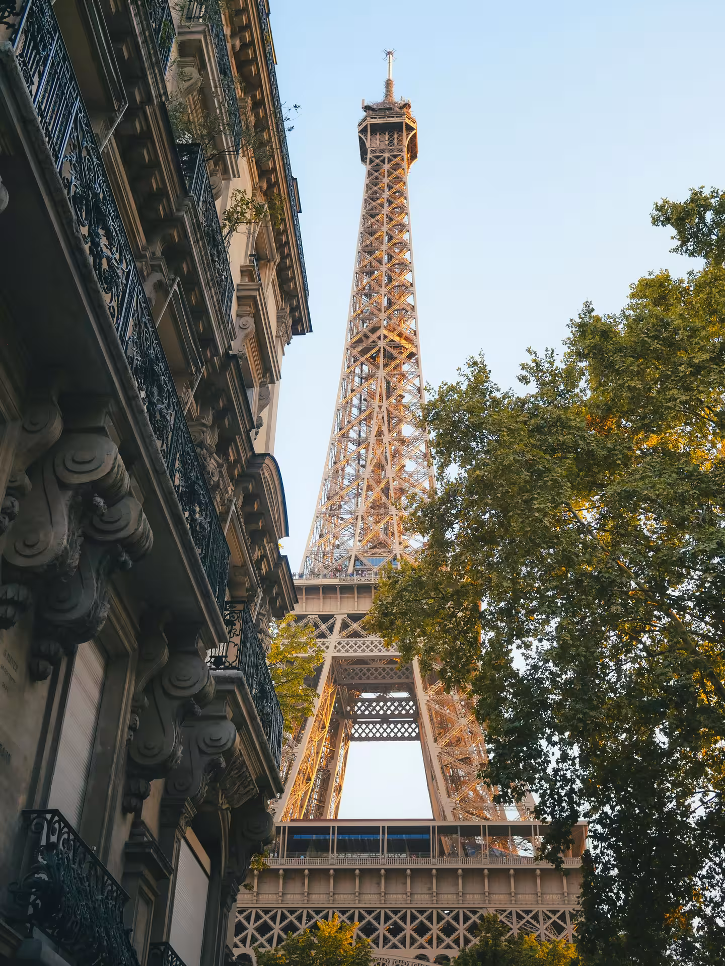Upward view of the Eiffel Tower between Haussmann building and trees, Paris