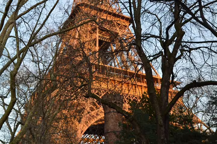 Eiffel Tower iron lattice structure viewed from below through bare winter trees at golden hour in Paris