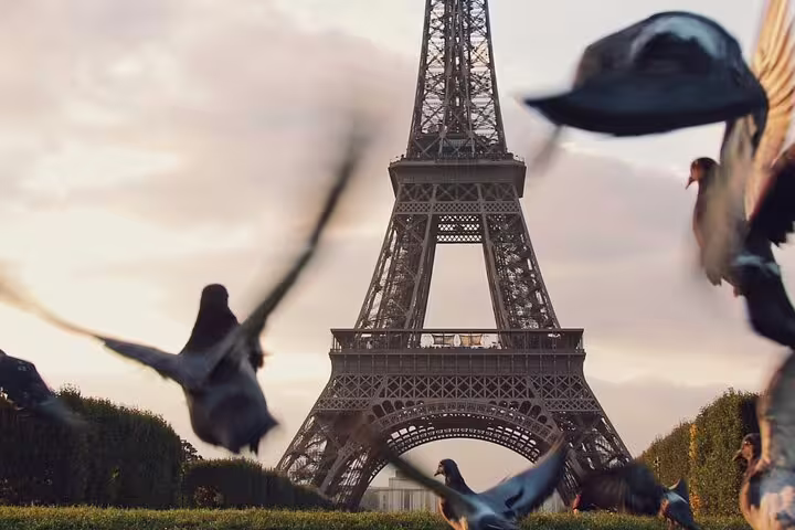 Eiffel Tower in Paris with pigeons flying in the foreground at dusk