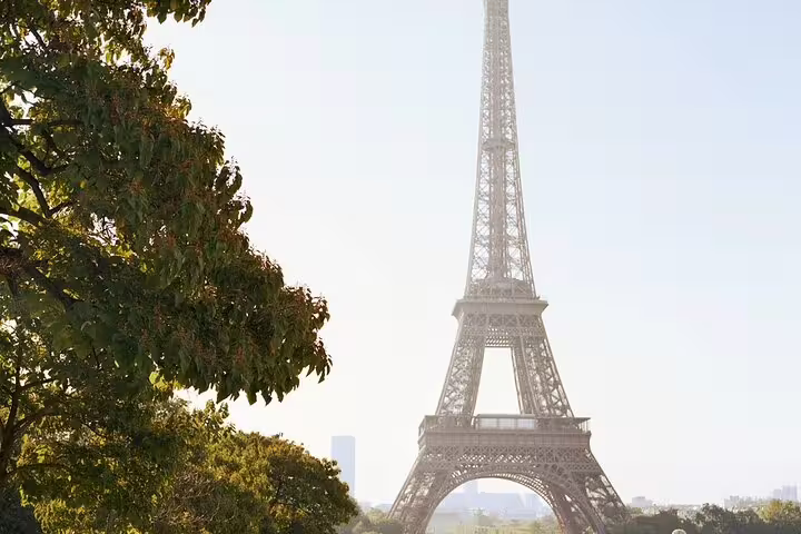 Eiffel Tower rising above green trees on a clear day in Paris