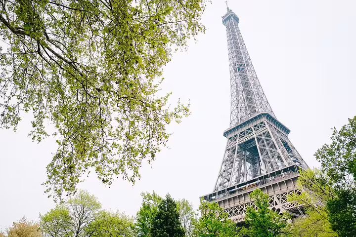 Eiffel Tower viewed from below surrounded by lush green trees in Paris