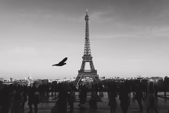 Eiffel Tower view from Trocadero with crowds and bird in flight, Paris