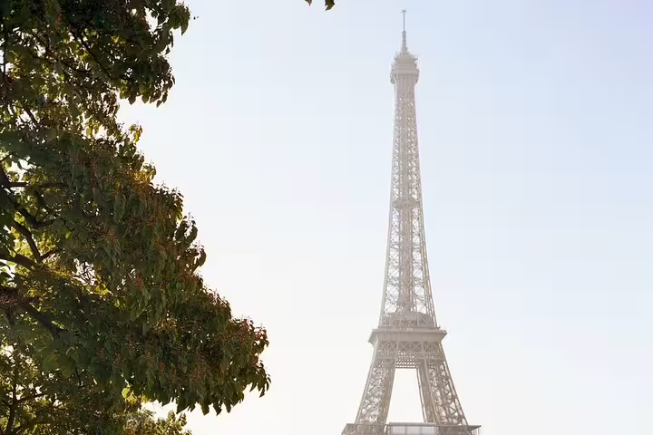 Eiffel Tower rising above green trees in Paris on a hazy day