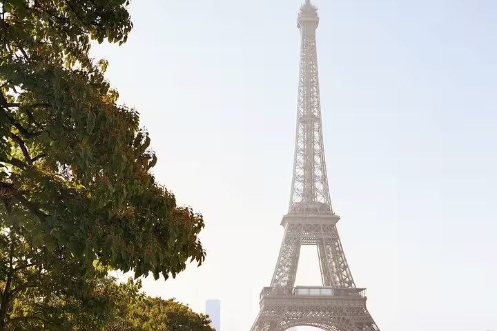 Eiffel Tower rising above green trees on a clear day in Paris