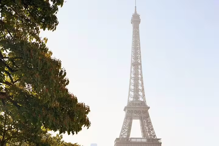 Eiffel Tower rising above green trees under a hazy Paris sky