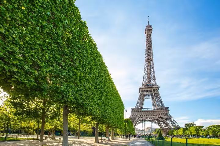 Eiffel Tower seen from Champ de Mars trees, ideal for a private tour with luxury lunch, Seine River cruise and Louvre