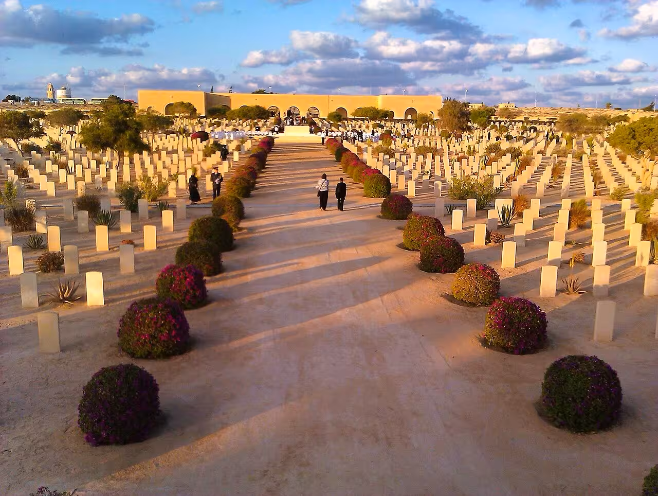 El Alamein WWII war cemetery with rows of white headstones and flowering shrubs along central pathway, Egypt