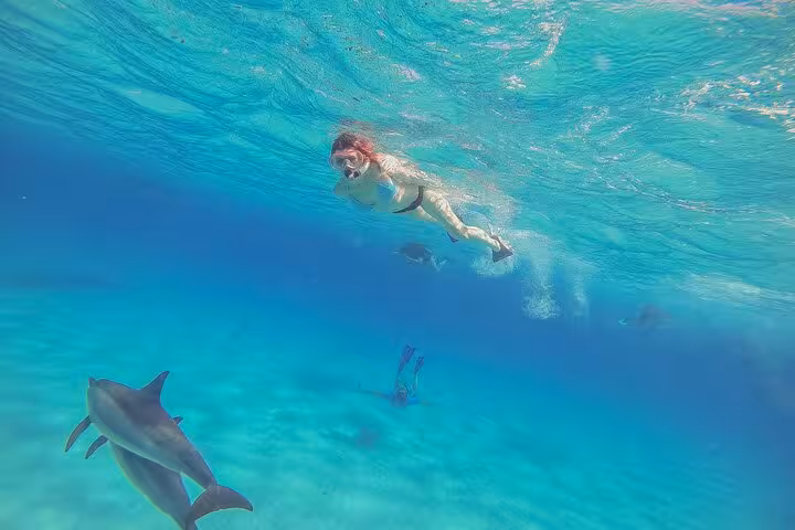 Snorkeler swimming with dolphins in El Gouna Lagoon, Red Sea, on diving and snorkeling tour with lunch