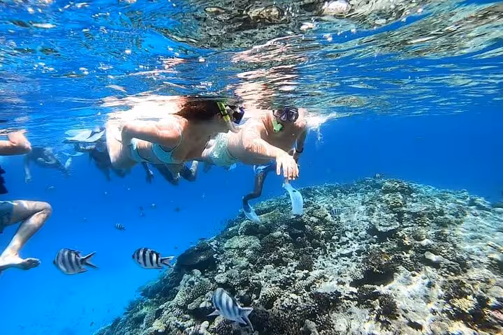 Snorkeling over coral reef in El Gouna lagoon with tropical fish, Red Sea snorkeling trip with lunch included