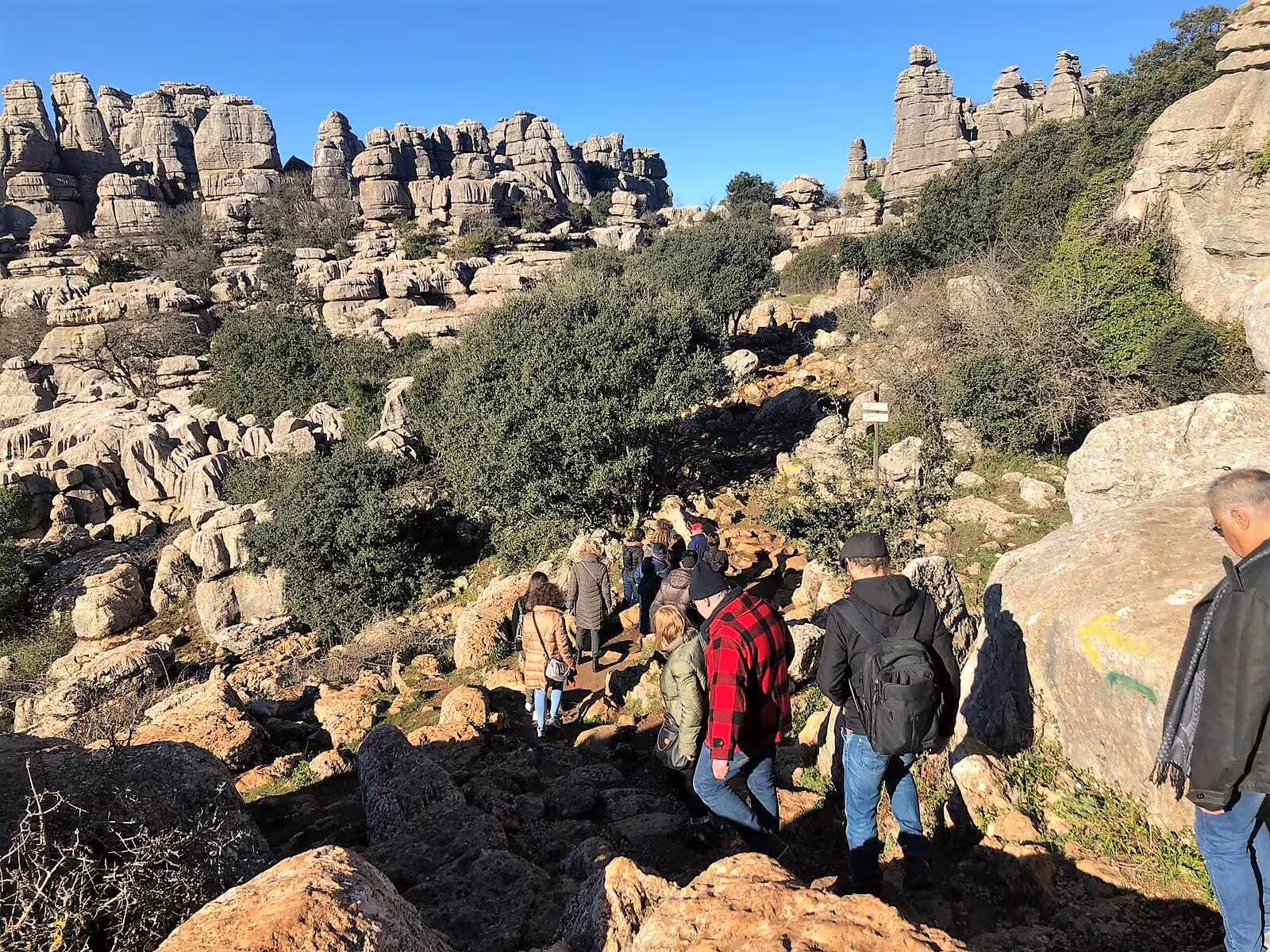 Group hiking the El Torcal de Antequera karst trail on a private full-day excursion from Costa del Sol