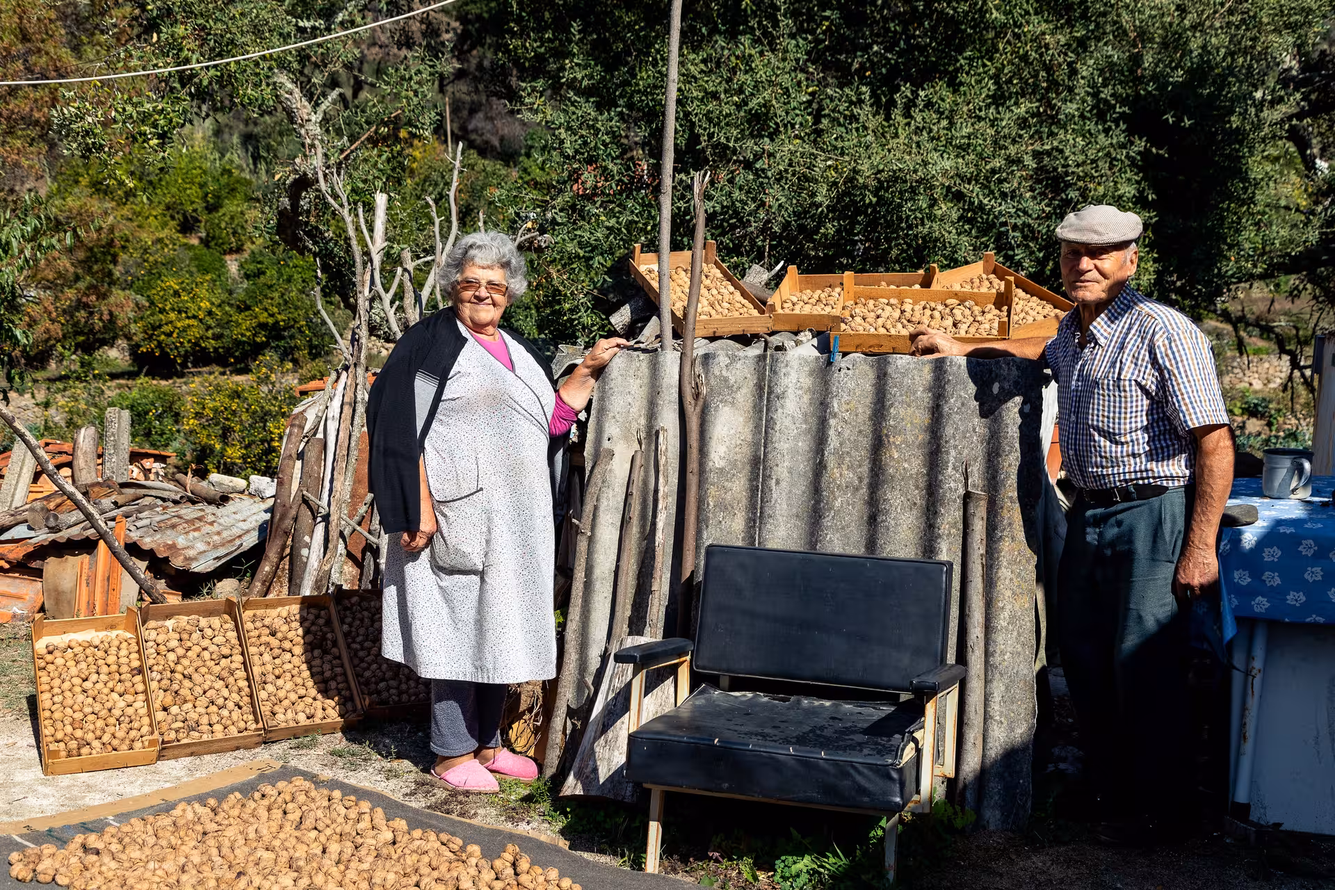 Elderly farmers on Algarve jeep safari route showcasing sun-dried walnuts at a traditional countryside homestead visit