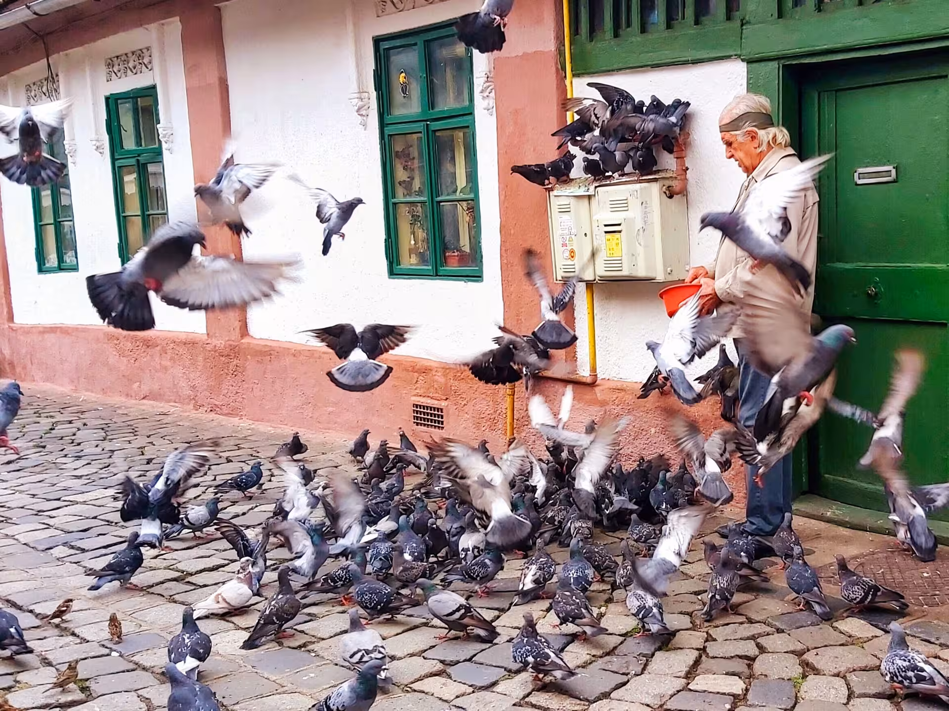 Elderly local man feeding pigeons on cobblestone street during Cluj hidden secrets walking tour