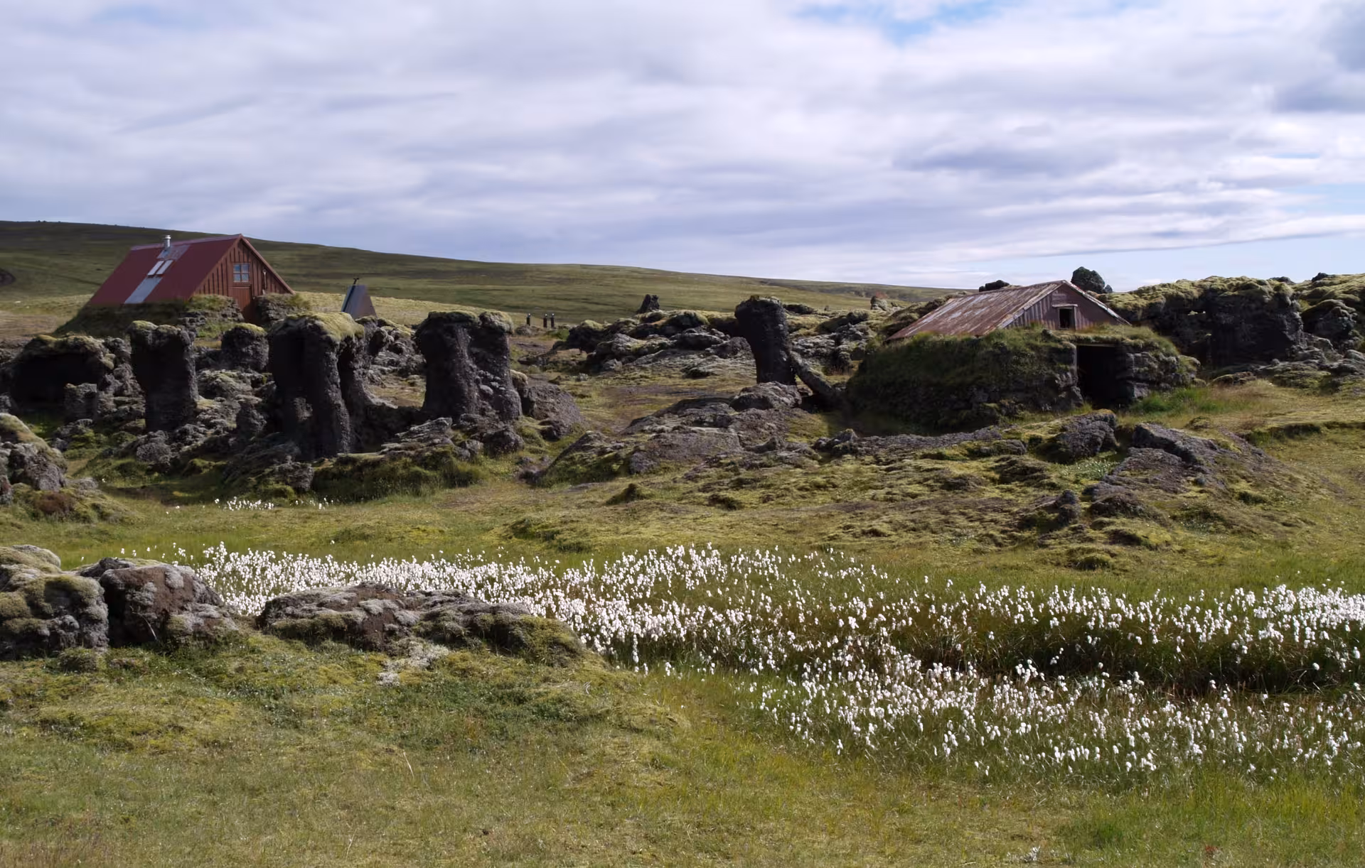 Lava rock formations and cotton grass meadow with red-roofed huts in Iceland Highlands