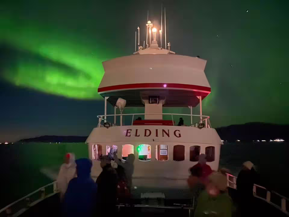 Passengers on Elding boat tour viewing vivid green northern lights aurora borealis over Reykjavik Bay at night