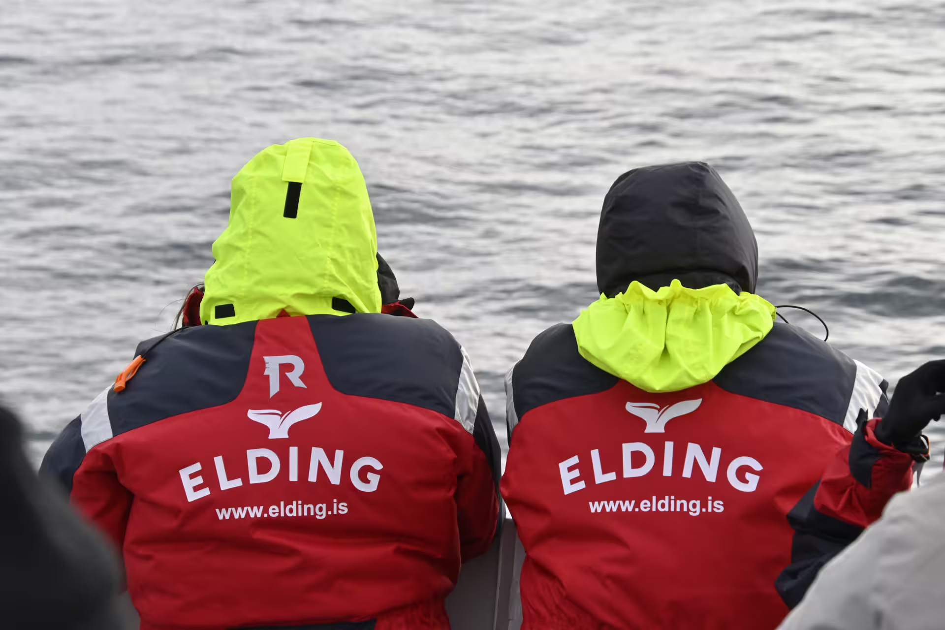 Two passengers in red Elding branded jackets with yellow hoods looking out at sea on whale watching tour