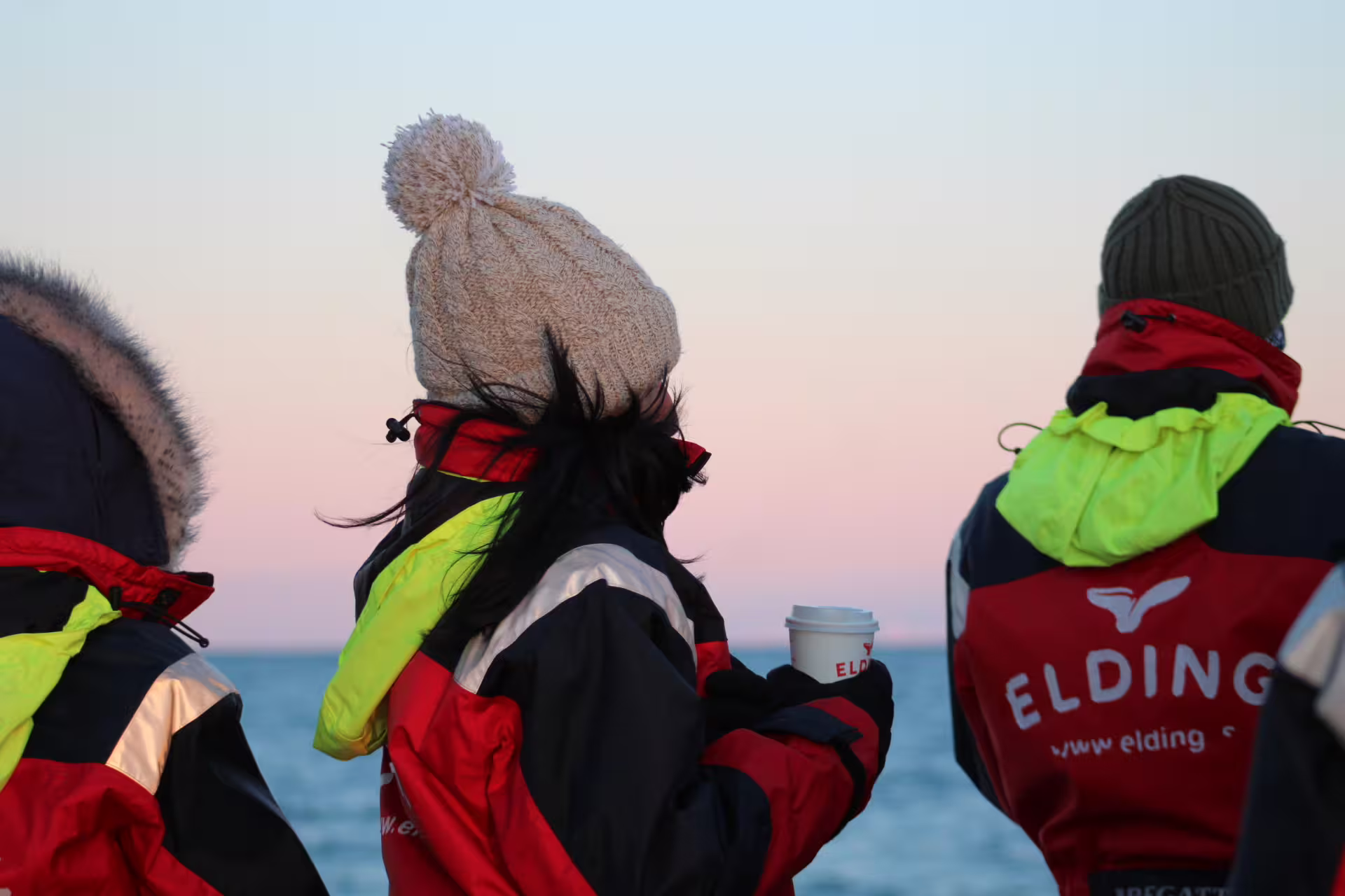 Tourists in Elding branded jackets watching ocean sunset during whale watching boat tour in Reykjavik