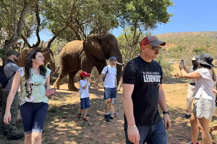 Elephant sanctuary tour