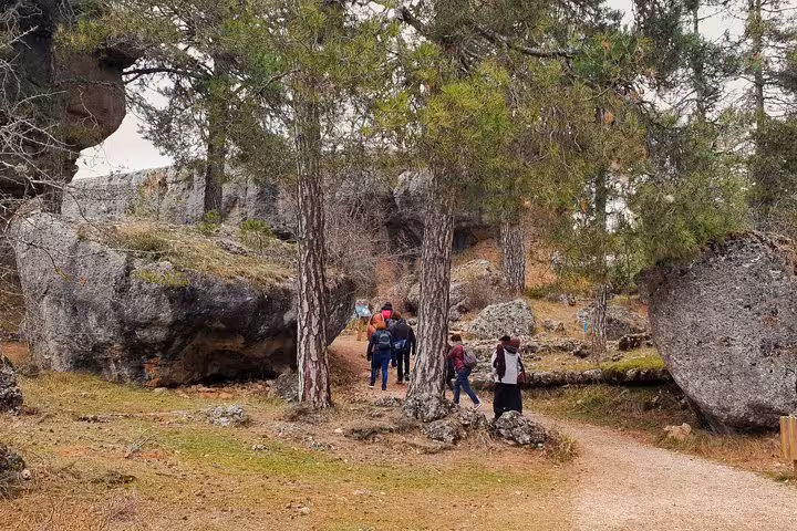 Walking trail through pine forest and limestone boulders in the Enchanted City tour from Cuenca