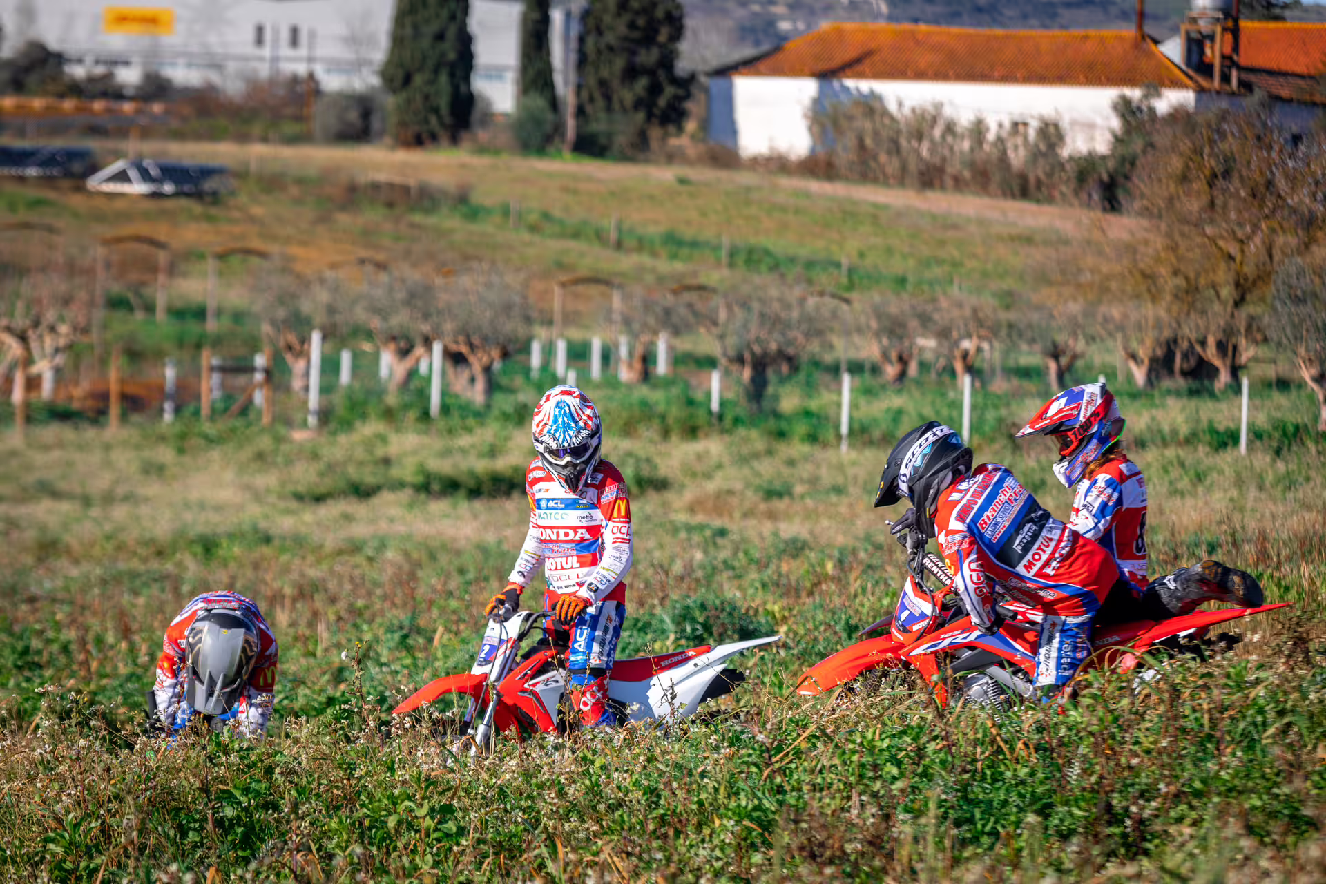 Enduro riders on red dirt bikes navigating grassy terrain in Carregado, Lisbon, during an exhilarating off-road adventure.