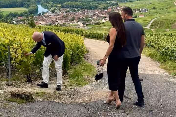 Wine expert examining grapevines with two visitors on a scenic Champagne vineyard path near Epernay village