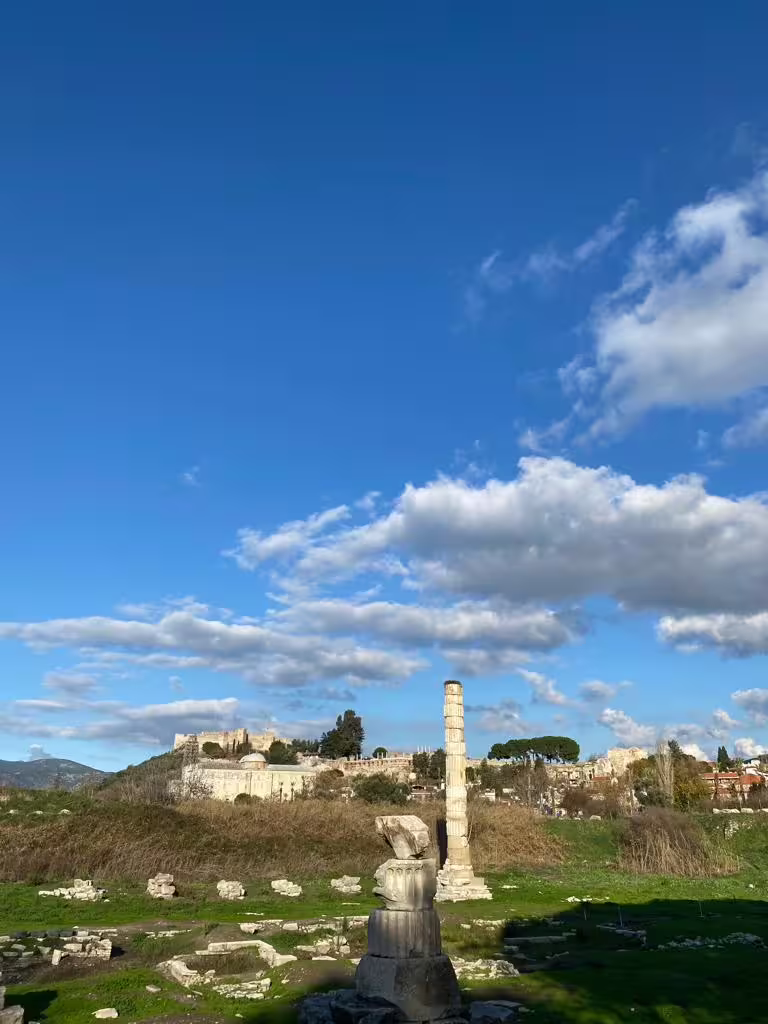 Ancient column and ruins at Ephesus archaeological site on all-inclusive private guided tour with lunch