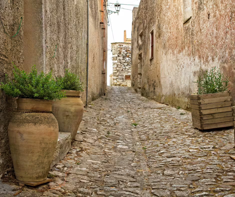 Narrow cobbled alley with rustic stone walls and potted plants in medieval Erice village on a private tour from Palermo
