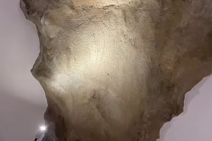 Close-up of prehistoric rock engravings in Escoural Caves, highlighting ancient art on a guided tour to Évora or Montemor-o-Novo.