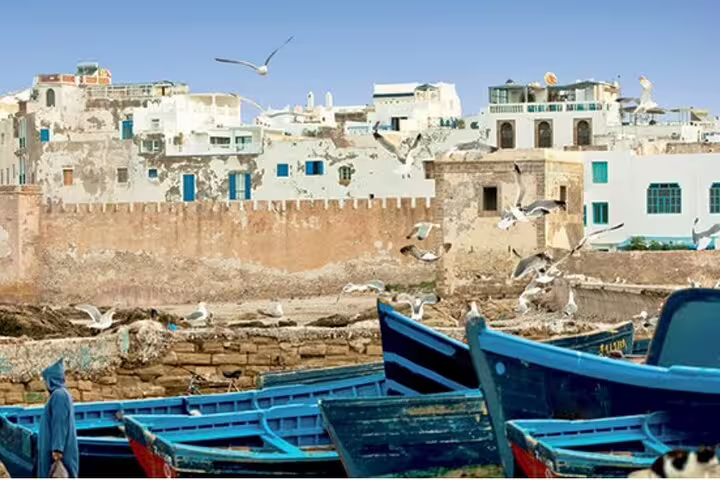 Essaouira harbor with blue fishing boats and seagulls, Atlantic coast stop on 12-day Morocco tour