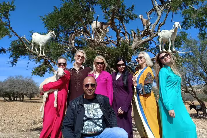 Group photo with goats in argan trees near Essaouira, Morocco, fun countryside stop on a private walking tour