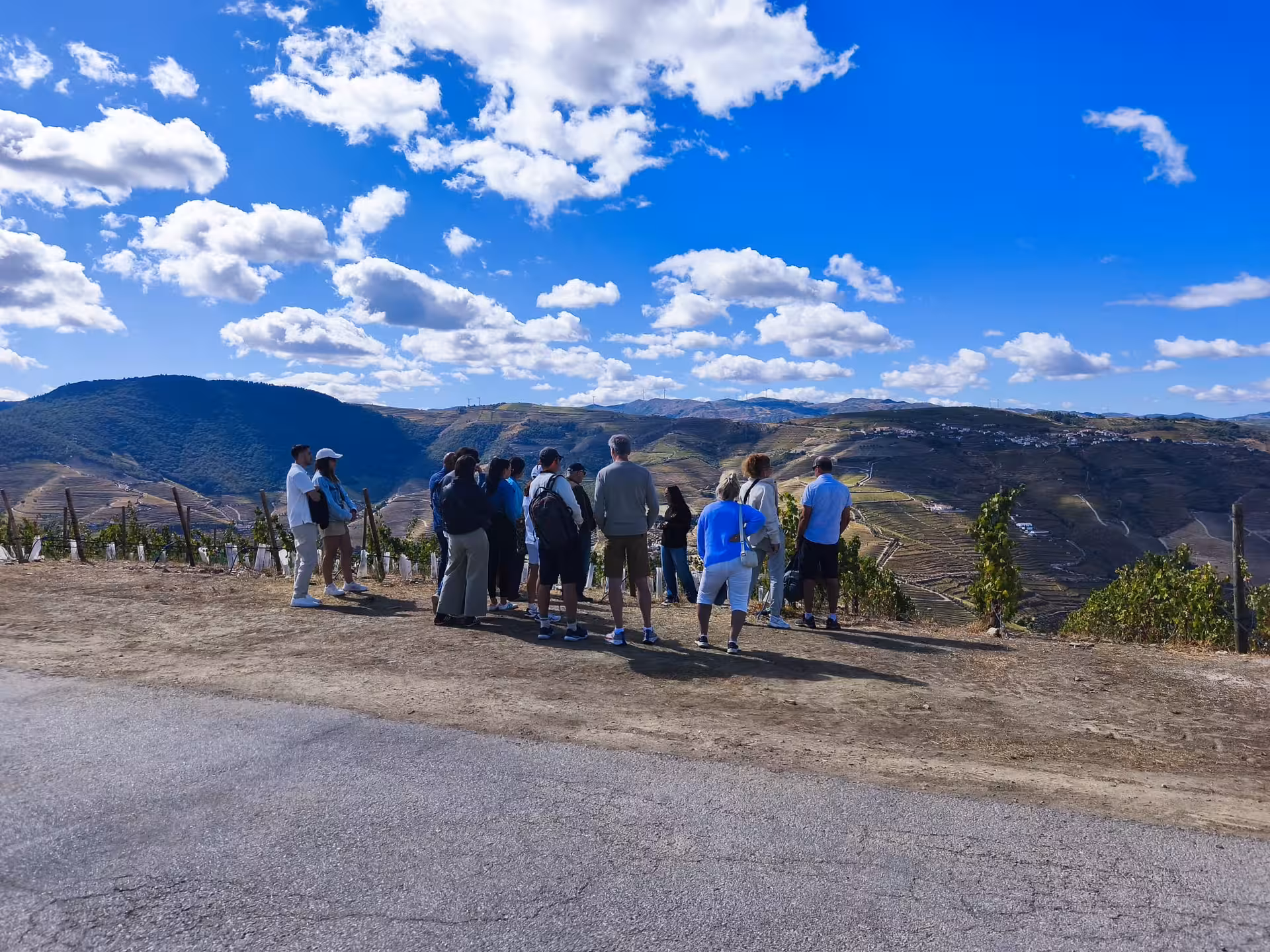 Essence Tour group viewpoint stop overlooking Douro Valley terraced vineyards under bright blue sky