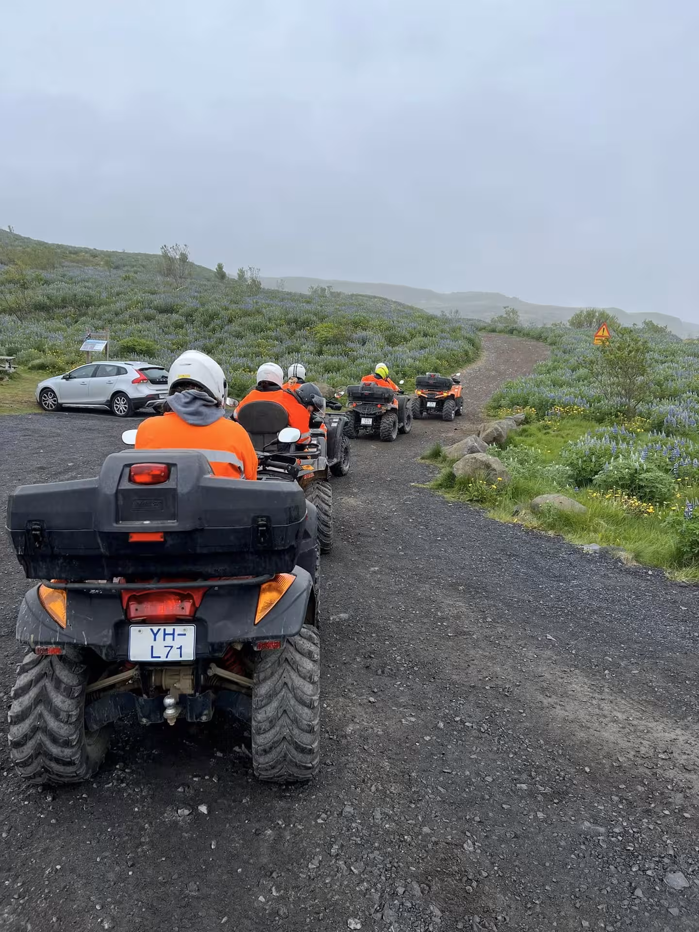 Group of ATV quad riders in orange gear on a gravel trail through lupine fields near Reykjavik