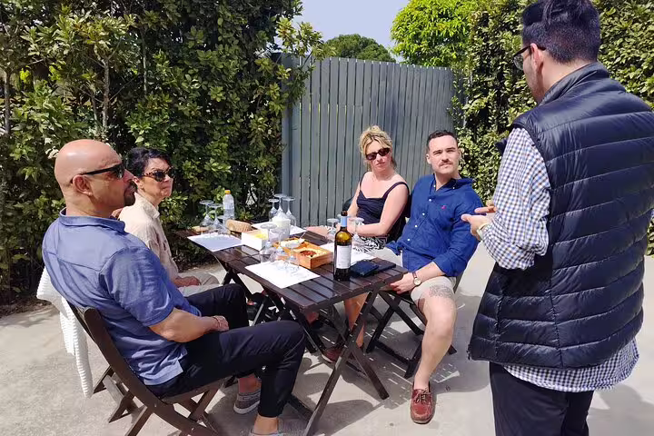 Tourists enjoy a wine tasting session in a sunny Alentejo vineyard during the Private Full Day Evora & Wine Tour from Lisbon.