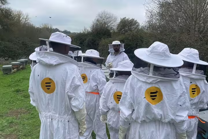 Group of visitors in bee suits gather for a guided apiary tour in Evora, exploring the world of bees.