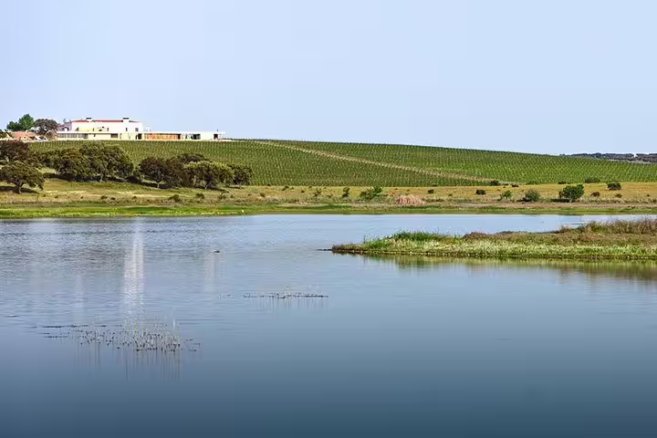 Scenic view of a serene lake and lush vineyards near Évora, Portugal, on a sunny day, perfect for a private tour from Lisbon.