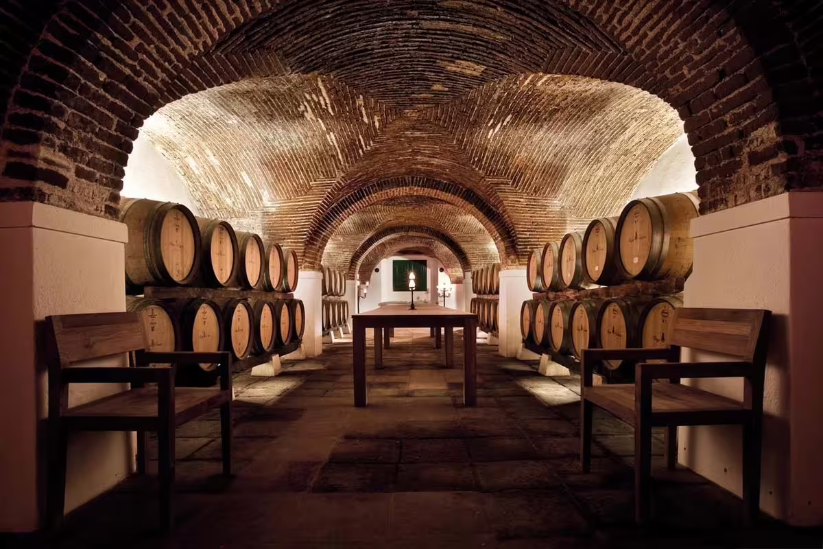 Historic wine cellar with rows of wooden barrels and seating, offering an authentic wine tasting experience in Évora.