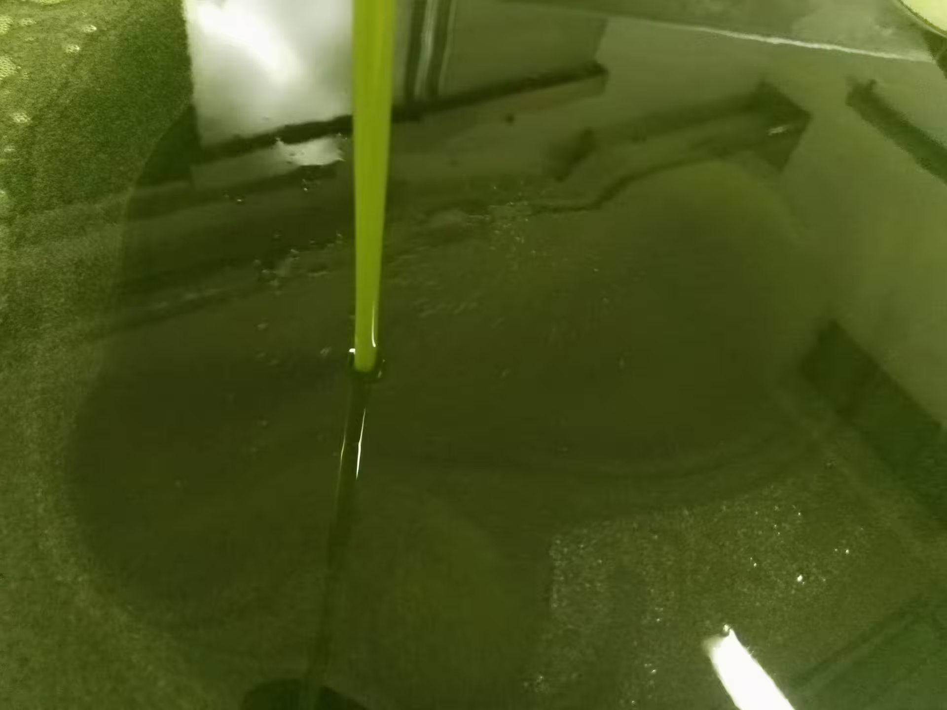 Freshly pressed extra virgin olive oil flowing into a vat during an Abruzzo olive oil tasting mill tour