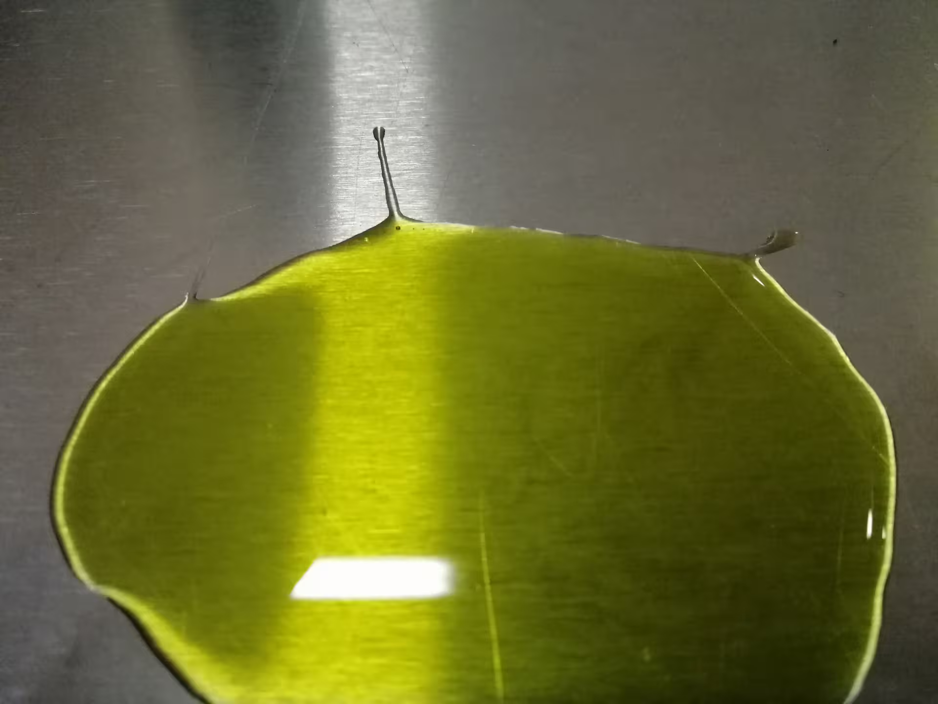 Golden-green extra virgin olive oil pool on steel surface, part of an Abruzzo olive oil tasting experience