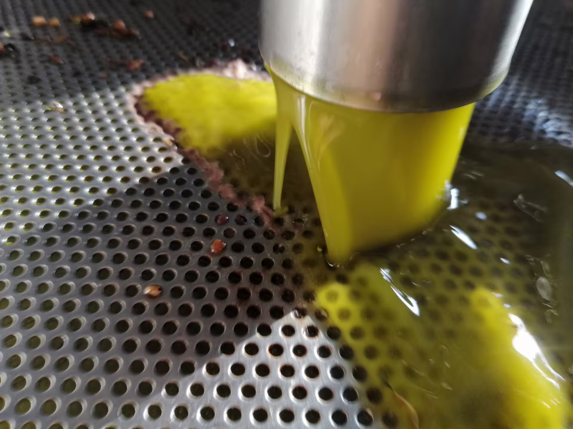 Freshly pressed extra virgin olive oil flowing from the mill during an Abruzzo olive oil tasting tour
