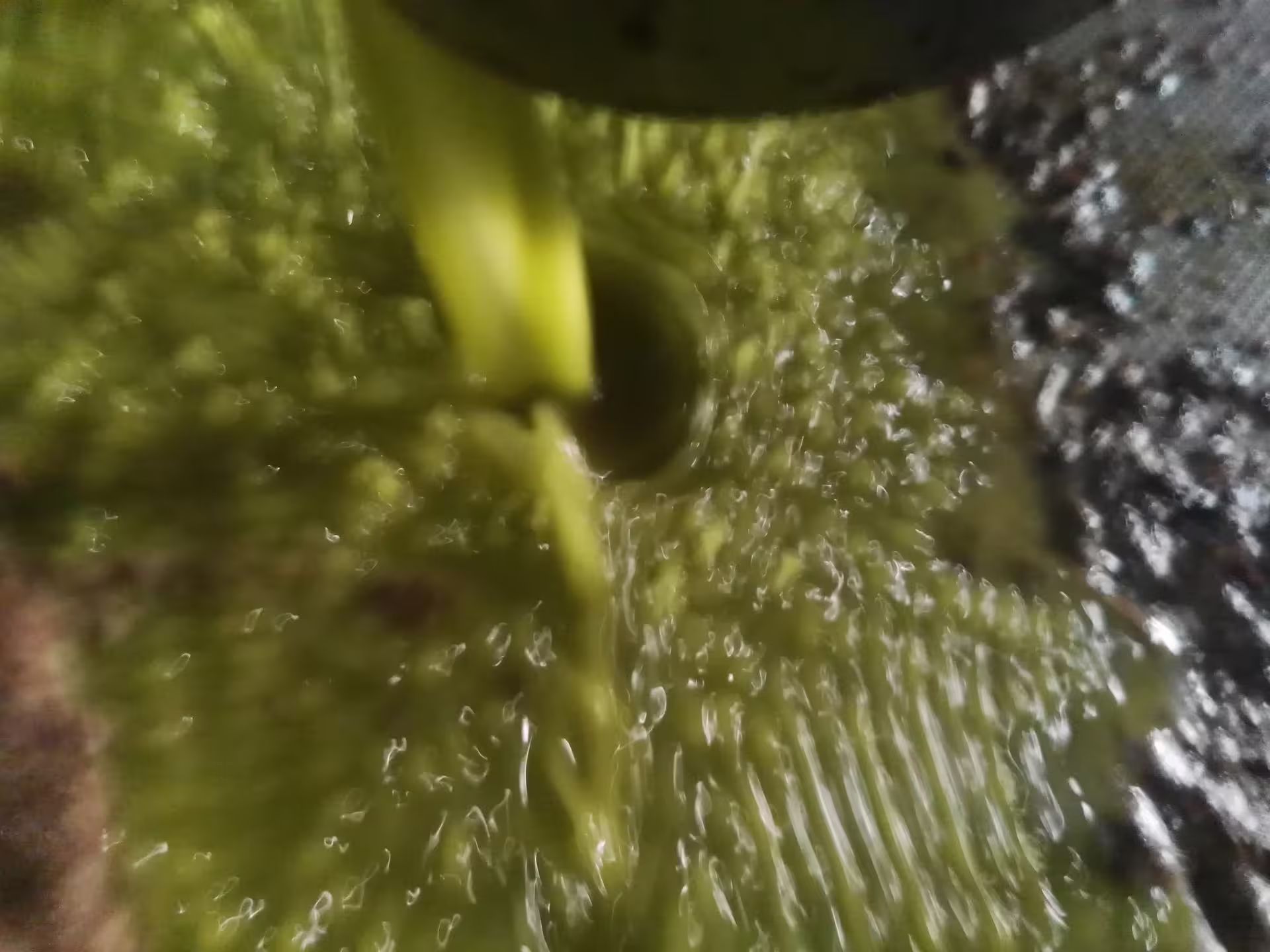 Freshly pressed extra virgin olive oil flowing from the mill, a highlight of an Abruzzo olive oil tasting experience