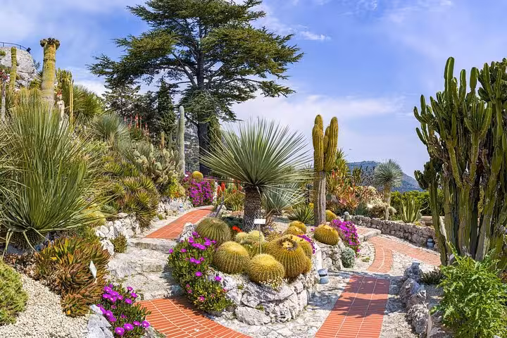Vibrant botanical garden in Eze featuring diverse cacti and succulents under a clear blue sky.