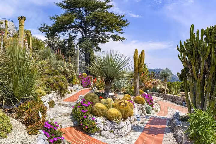 Vibrant exotic garden in Eze with diverse cacti and colorful flowers, showcasing Monaco's natural beauty.
