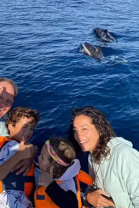 Family in life jackets watching dolphins beside the boat on a private 4-hour Red Sea speedboat tour from Hurghada