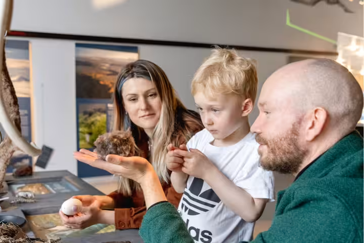 Family with young child examining reindeer fur and egg at East Iceland nature exhibit