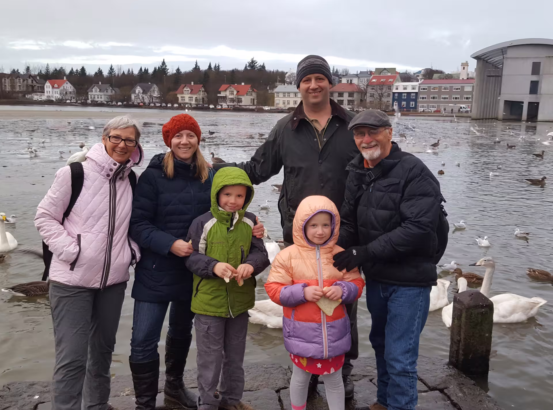 Family group feeding swans and birds by Reykjavik lake on a private walking tour
