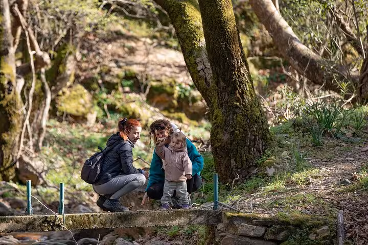 Family with small child crossing a rustic bridge on the Ikaria Hike to Alama Spring through lush Greek forest