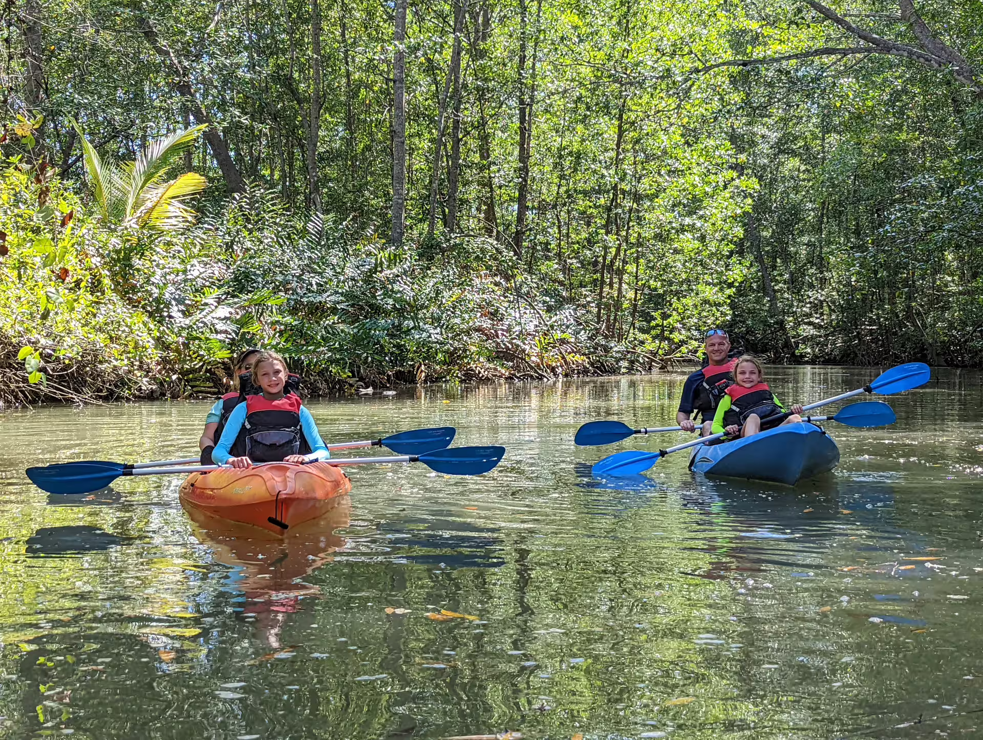 Family kayaking through serene mangrove waterways, experiencing a fun and eco-friendly adventure tour.